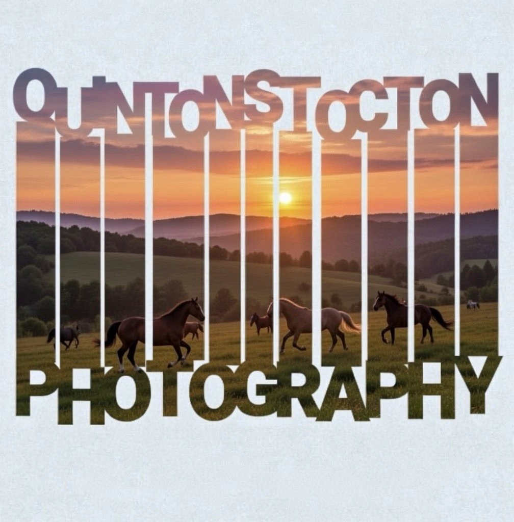 Brand Pack concept for Quinton Stocton Photography: sunset horse field with bold logo typography overlay