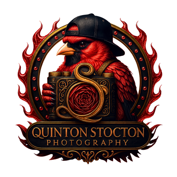 Quinton Stocton Photography