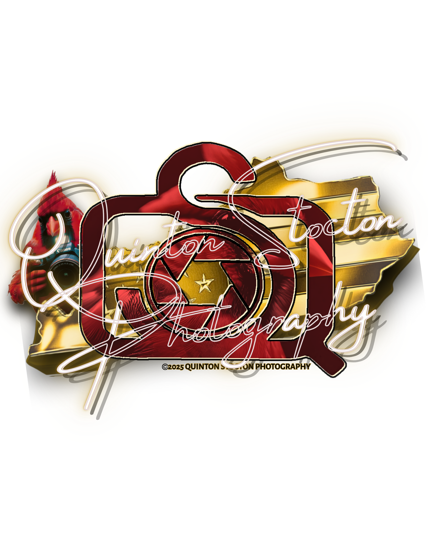 Custom logo design for photography business. Branding features a cardinal bird, camera aperture, and the text "Quinton