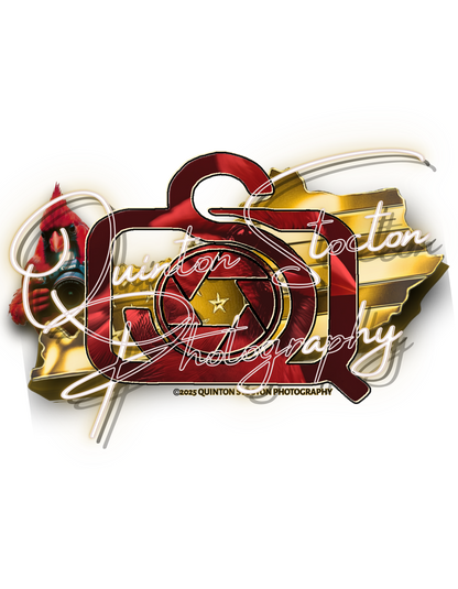 Custom logo design for photography business. Branding features a cardinal bird, camera aperture, and the text "Quinton